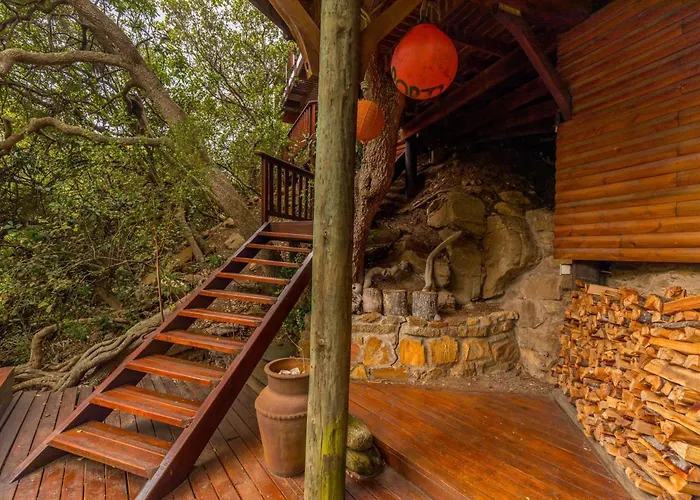 Ballots Bay Treehouse